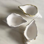 Conch Shell Tray